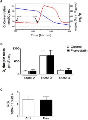 Coenzyme Q10 or Creatine Counteract Pravastatin-Induced Liver Redox Changes in Hypercholesterolemic Mice
